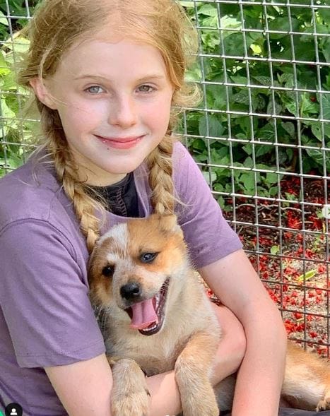Alyla Browne DOB, Parents, Height, Age, Wiki, Movies, School - The Mix